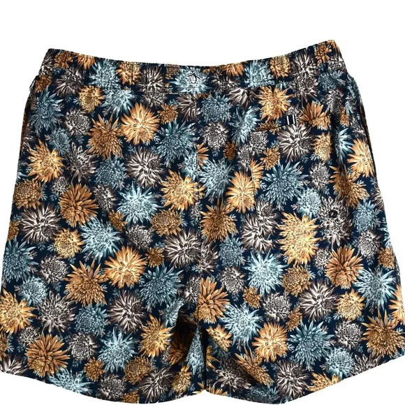 Penguin Mens Sea Urchins Lined Swimming Trunks Sz L Swimwear Volley Shorts Beach - Picture 2 of 11